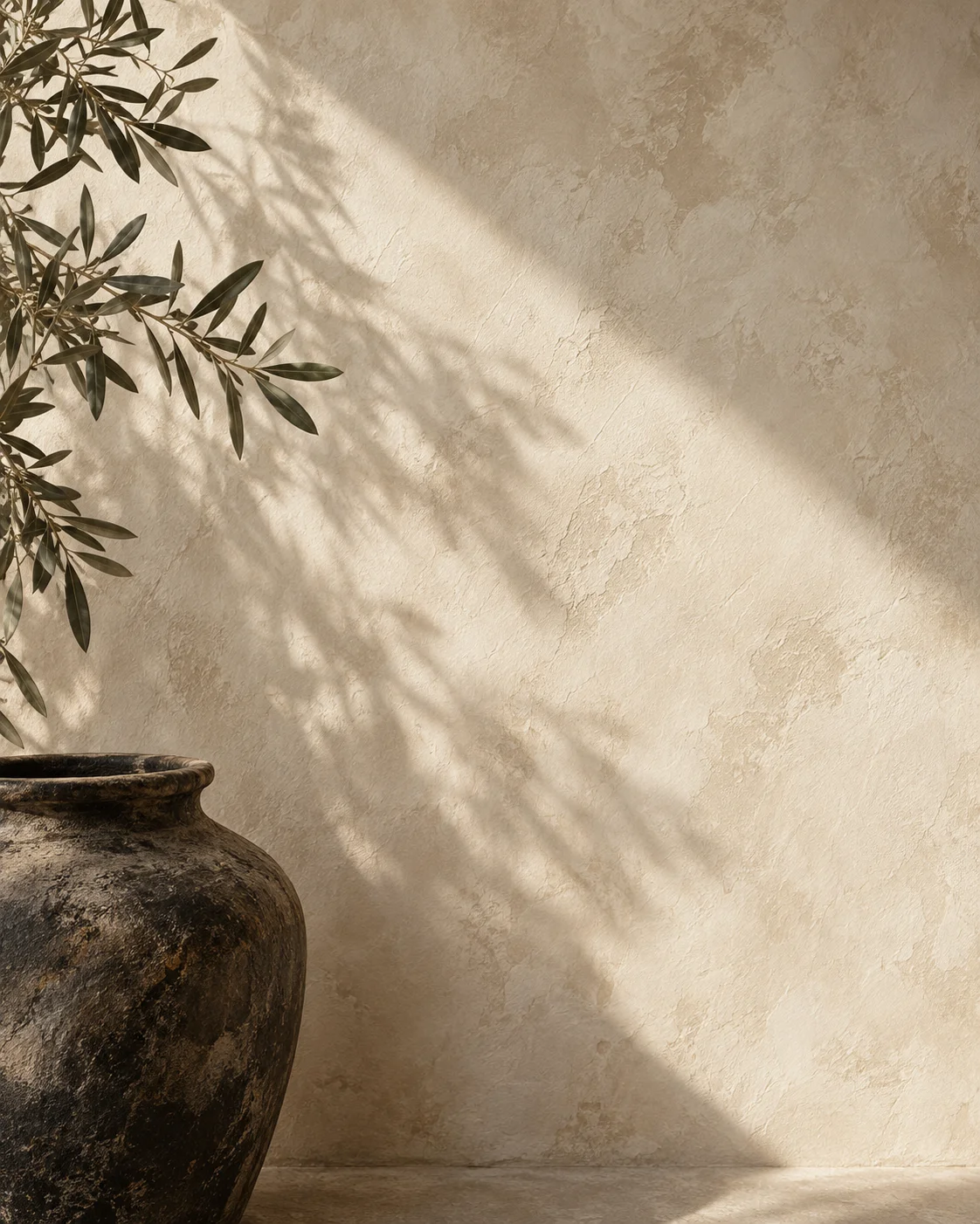 Limewash architectural inspiration